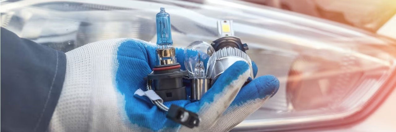 Close up of headlight bulbs